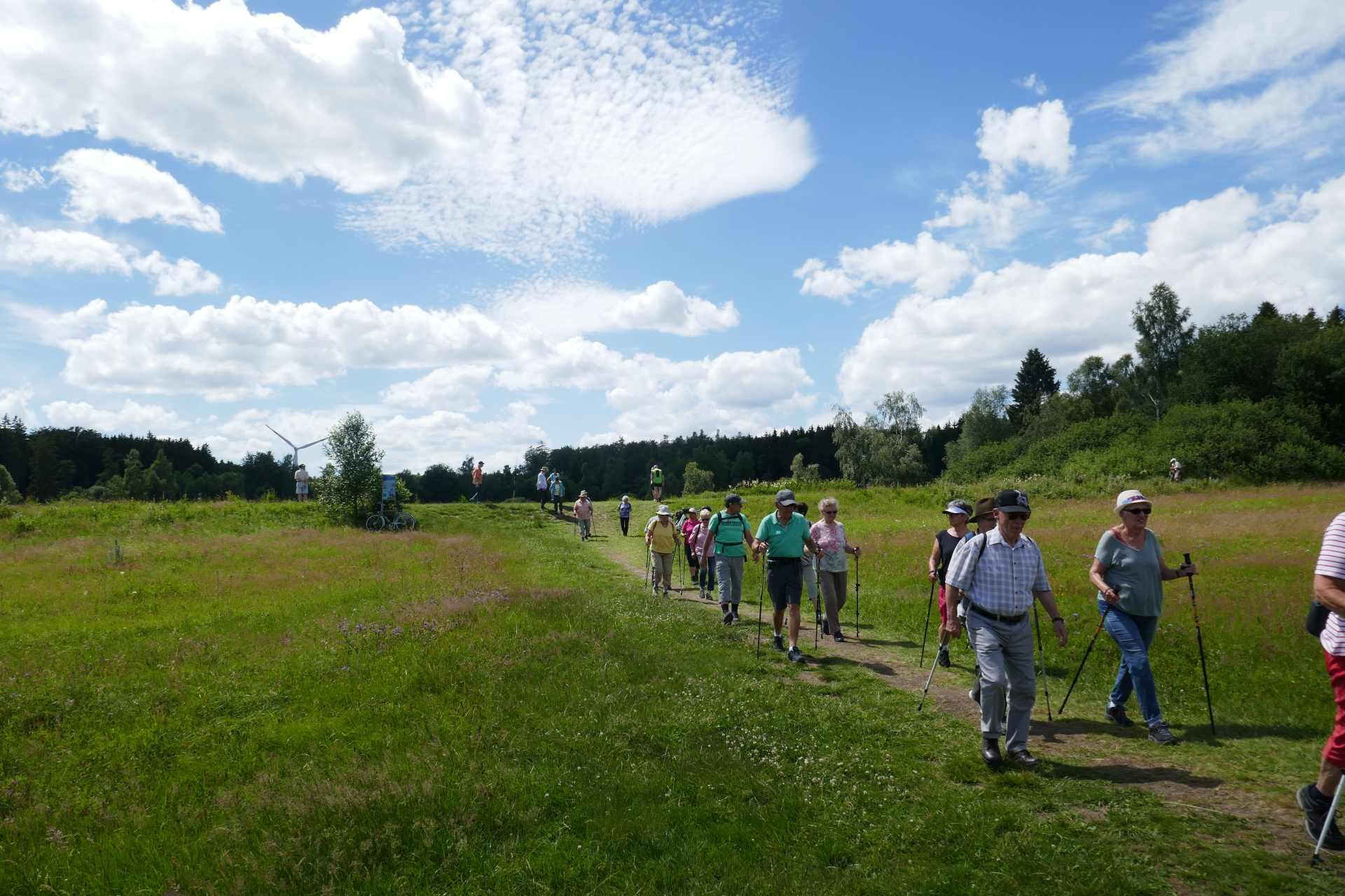 07 Juli - Weiherwiesen bei Tauchenweiler